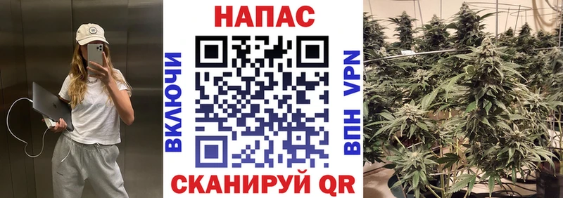 Бошки марихуана Bruce Banner Далматово